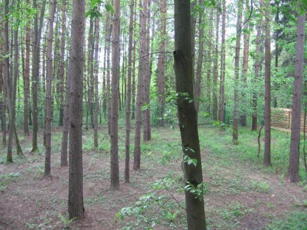 Хостел Для рабочих Звенигород