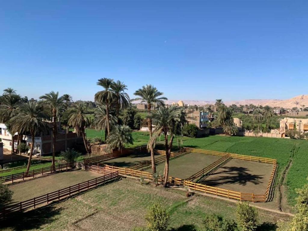 Двухместный (Двухместный номер с 1 кроватью или 2 отдельными кроватями) отеля Cleopatra Hotel Luxor, Луксор