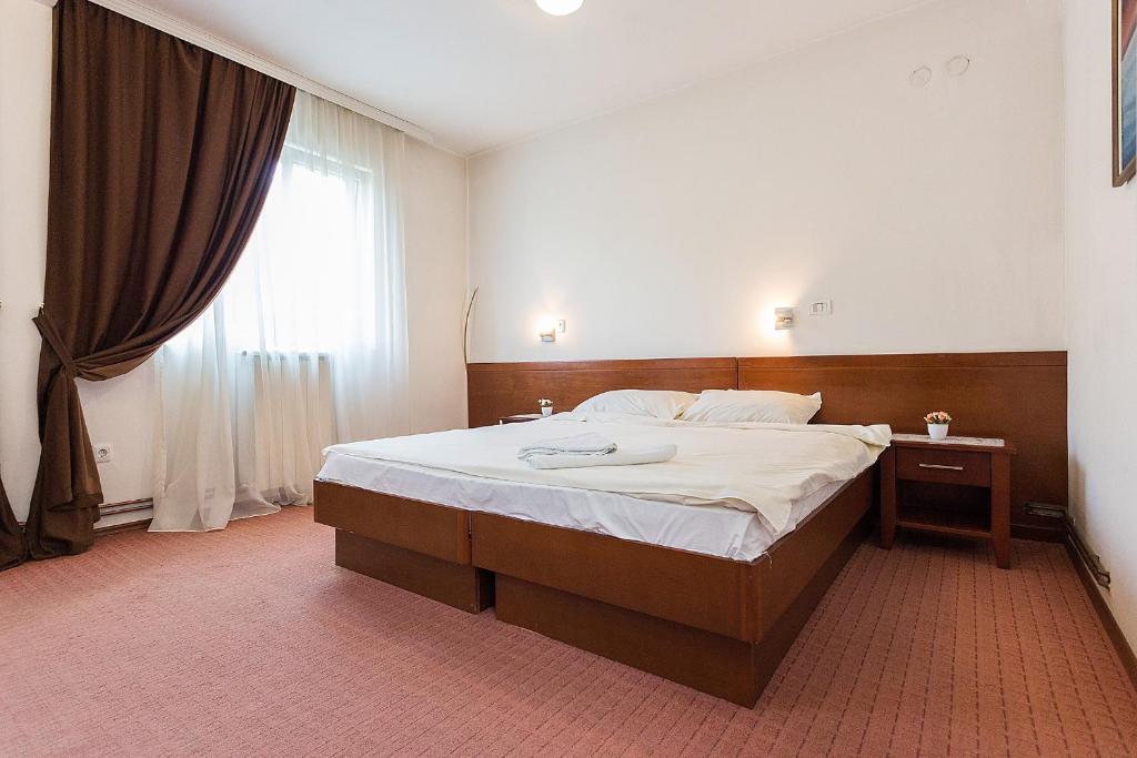 Двухместный (Стандартный двухместный номер с 1 кроватью или 2 отдельными кроватями) отеля Hotel Dominus, Колашин
