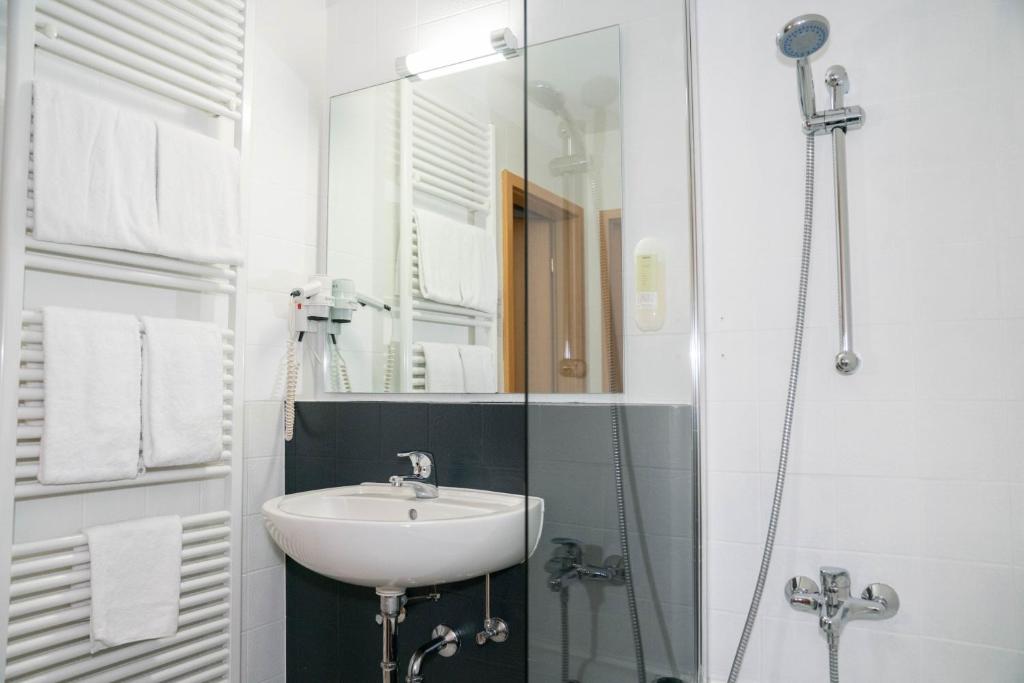 Двухместный (Бюджетный двухместный номер с 1 кроватью), Hotel Löwenstein