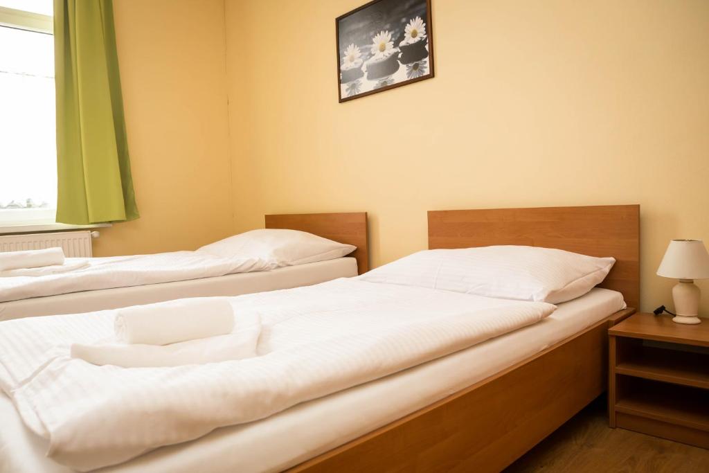 Двухместный (Двухместный номер с 2 отдельными кроватями) гостевого дома Penzion Burra, Доновалы