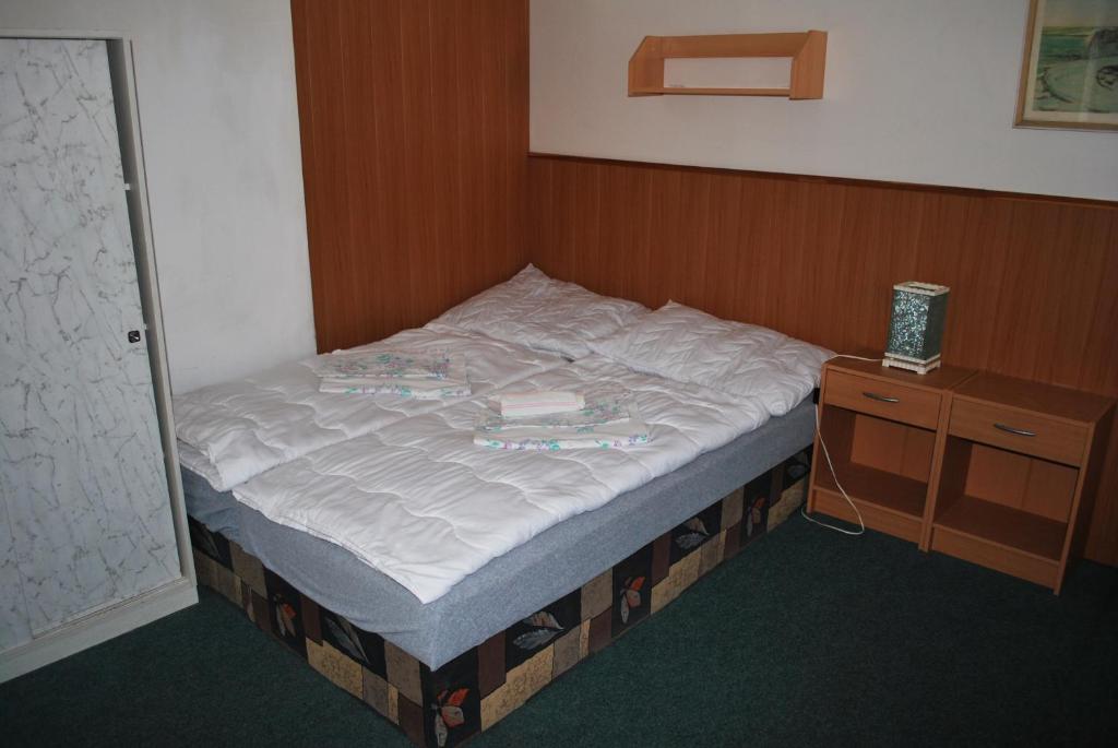 Двухместный (Двухместный номер с 1 кроватью или 2 отдельными кроватями) гостевого дома Na Staré Cestě, Дештне