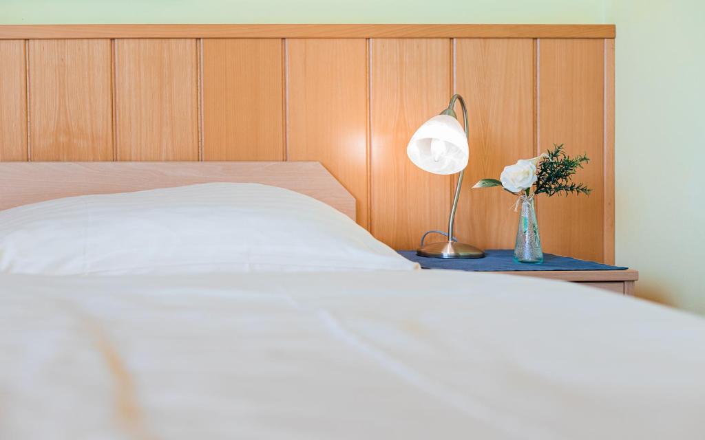Двухместный (Двухместный номер с 1 кроватью или 2 отдельными кроватями) отеля Hotel garni Steinfeld, Винер-Нойштадт