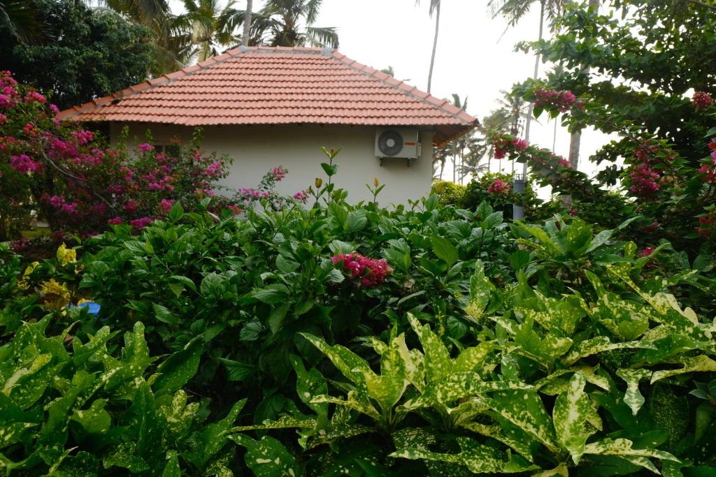 Номер (Коттедж (для 2 взрослых)), Magnolia Guesthouse Varkala