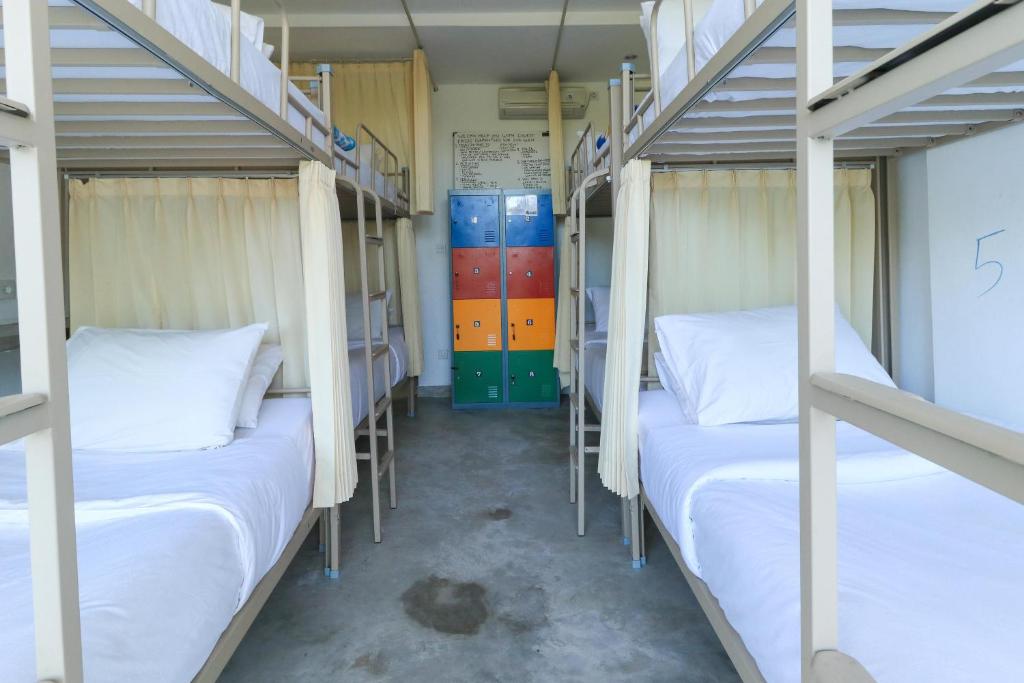 Номер (Кровать в общем 4-местном номере для мужчин и женщин) хостела Margarita Surf Hostel, Чангу