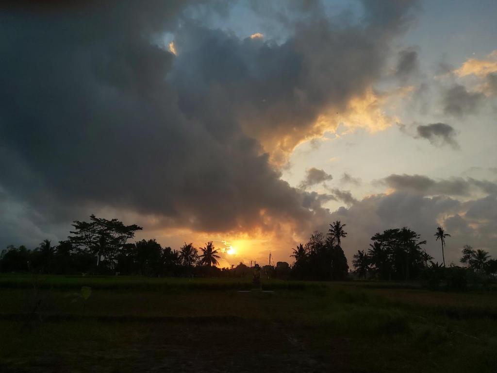 Двухместный (Улучшенный двухместный номер с 2 отдельными кроватями), Ayuna Family Ubud