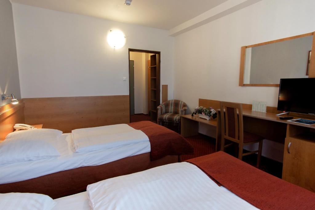 Двухместный (Двухместный номер с 2 отдельными кроватями) отеля Globus, Прага