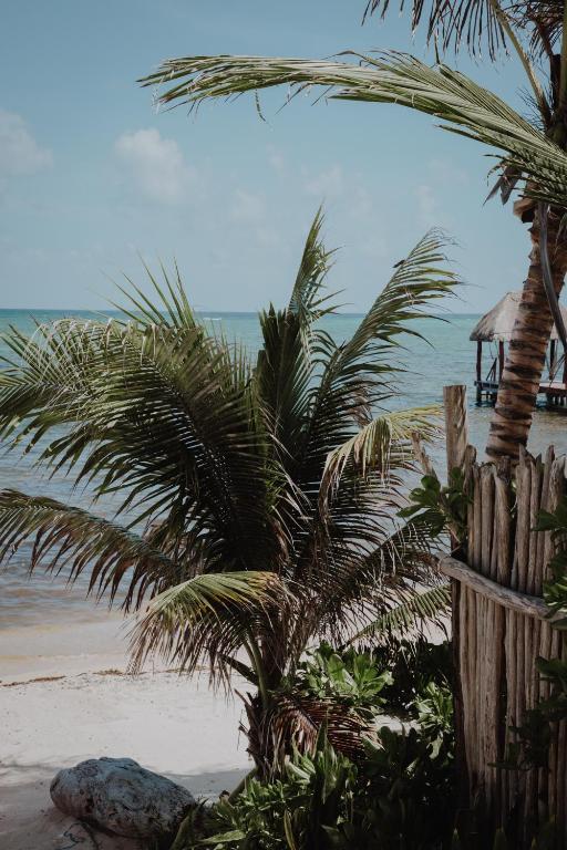 Сьюит (Полулюкс Делюкс с видом на море) отеля Cielo Maya Beach Tulum, Тулум