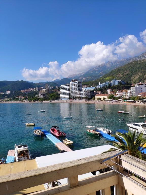 Студио (Номер-студио с террасой и видом на море), Apartments Stević - Monaco