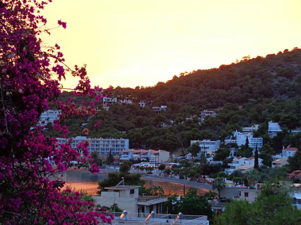 Номер (Дом с 2 спальнями), Poros Pine Villa