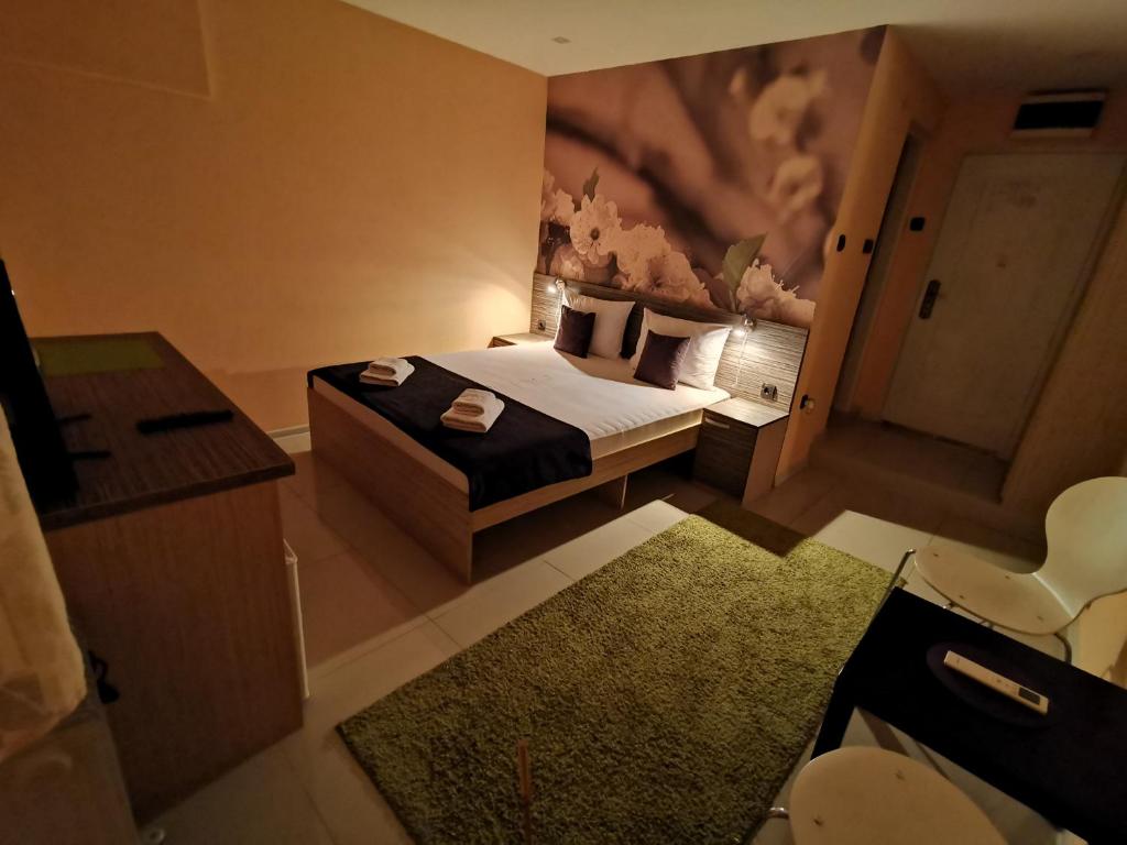 Двухместный (Стандартный двухместный номер с 1 кроватью) гостевого дома Niš City Center Guest House, Ниш