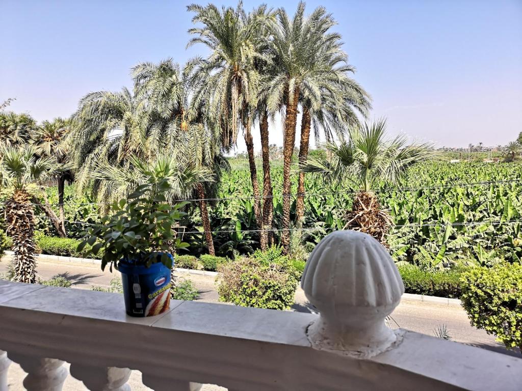 Апартаменты (Апартаменты-студио), Luxor Bella Vista Apartments and Hotel