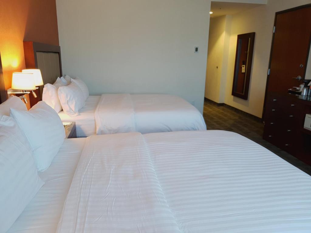 Двухместный (Стандартный двухместный номер с 1 кроватью или 2 отдельными кроватями) отеля Holiday Inn & Suites Plaza Mayor, Леон (Штат Гуанахуато)