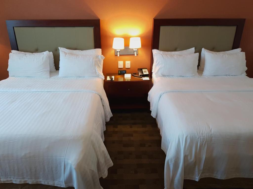 Двухместный (Номер с 2 кроватями размера «queen-size») отеля Holiday Inn & Suites Plaza Mayor, Леон (Штат Гуанахуато)