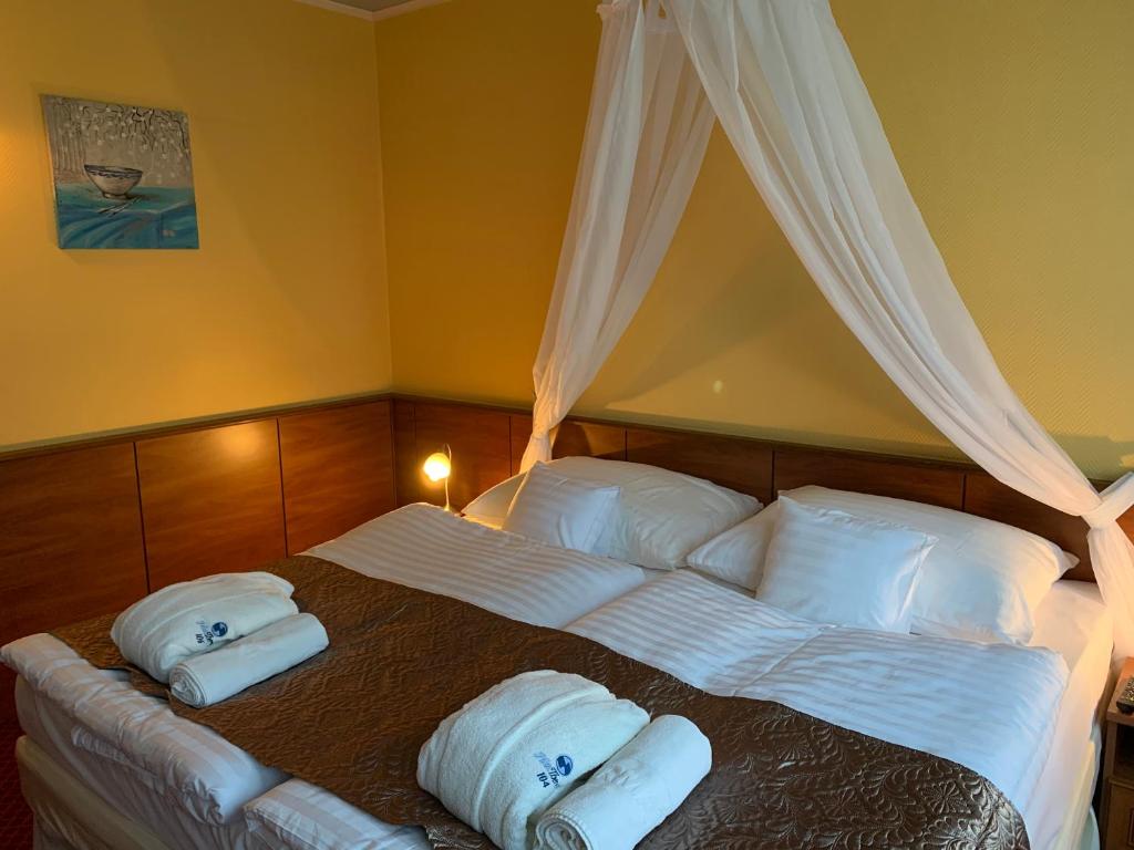 Двухместный (Двухместный номер с 1 кроватью или 2 отдельными кроватями) отеля Hotel Therma, Дунайска-Стреда