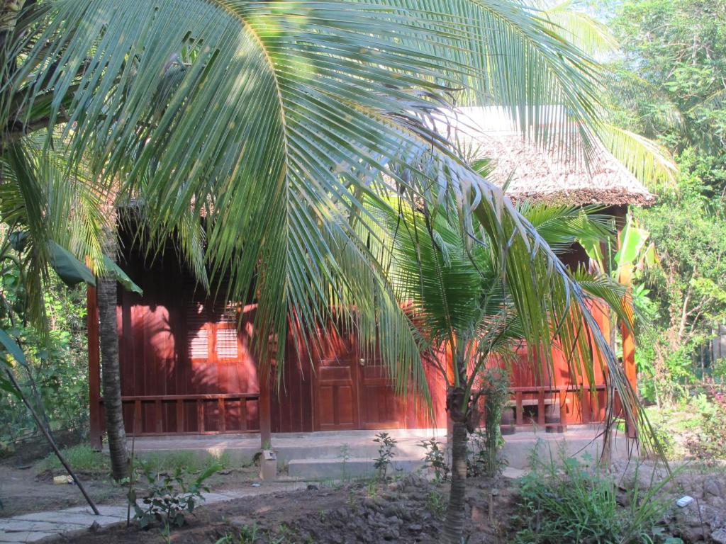 Xóm Dừa Nước