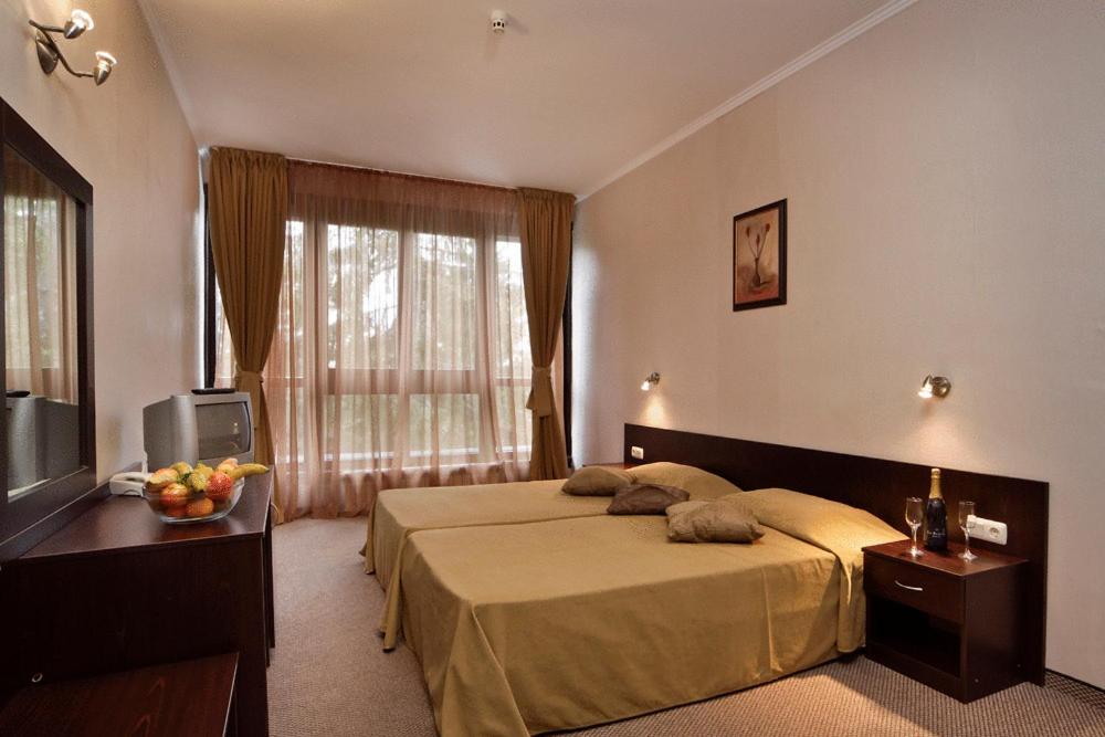 Двухместный (Двухместный номер с 2 отдельными кроватями) отеля Snezhanka Hotel & Summer All-Inclusive, Пампорово