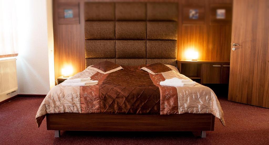 Двухместный (Классический двухместный номер с 1 кроватью) отеля Hotel Branc, Пьештяни
