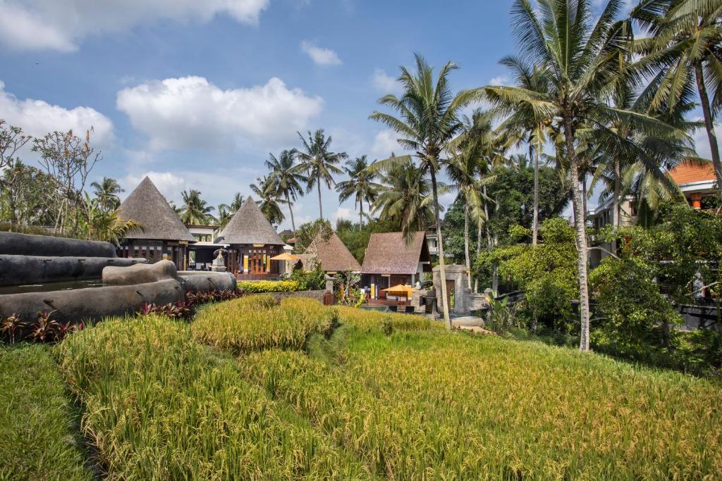 Вилла (Вилла с 1 спальней, бассейном и панорамным видом на рисовые поля) курортного отеля Green Field Resort Ubud, Убуд