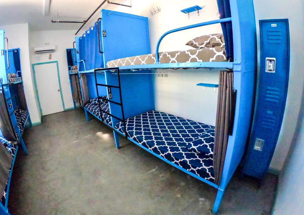 Номер (Кровать в общем 10-местном номере для женщин), California Dreams Hostel - Pacific Beach