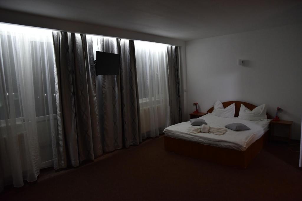 Двухместный (Двухместный номер с 1 кроватью) отеля Hotel Magurele, Бухарест