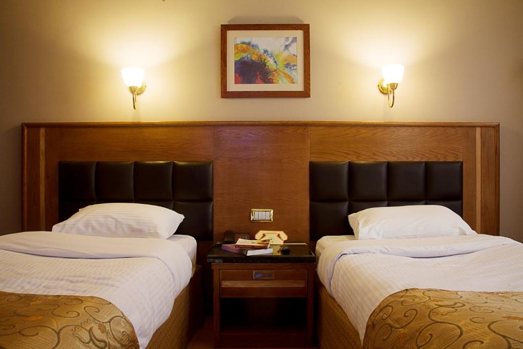 Двухместный (Стандартный двухместный номер с 1 кроватью или 2 отдельными кроватями) отеля Maadi Hotel, Каир
