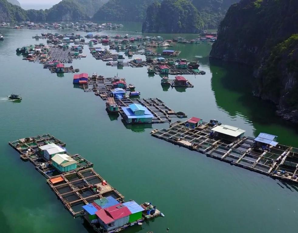 Трехместный (Трехместный номер с видом на город), Cat Ba Thailand Hotel