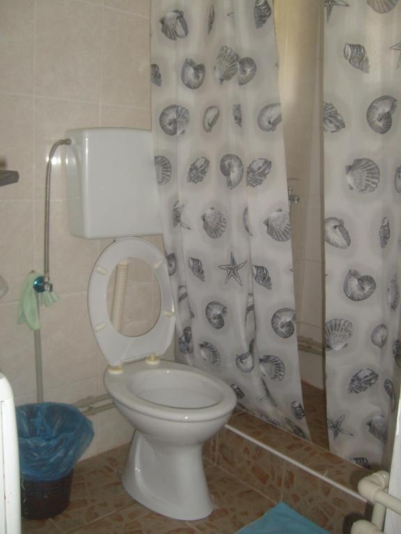 Четырехместный (Четырехместный номер с собственной ванной комнатой) апартамента Apartments Lalović, Жабляк