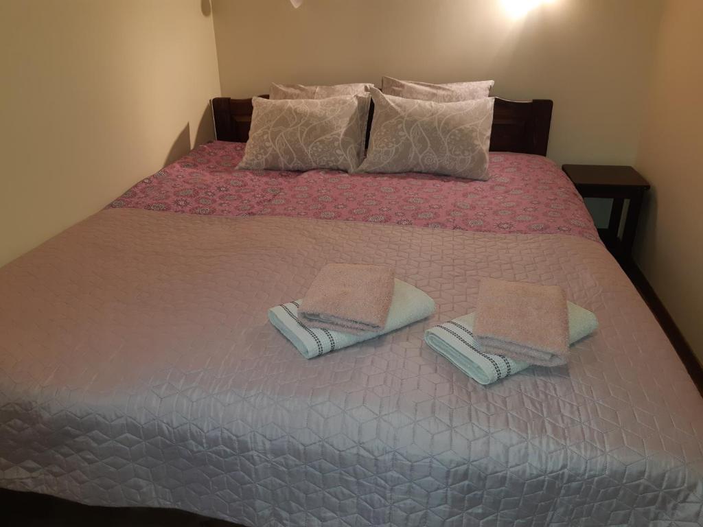 Двухместный (Стандартный двухместный номер с 1 кроватью или 2 отдельными кроватями) отеля Ovelia B&B, Курессааре