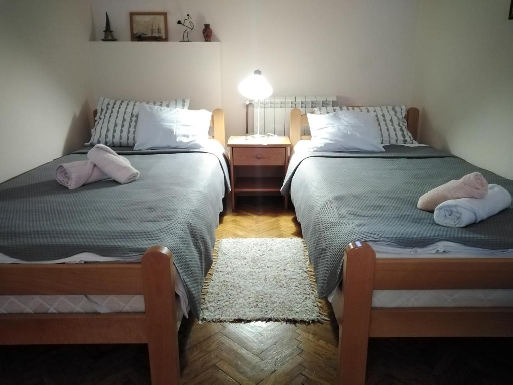 Двухместный (Двухместный номер с 2 отдельными кроватями и ванной комнатой) гостевого дома Sobe Gajić, Сремски-Карловци