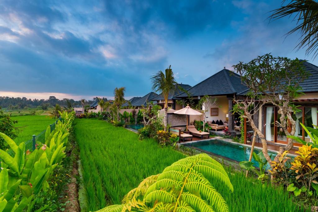 Вилла (Вилла с 1 спальней, собственным бассейном и видом на рисовые поля), Bliss Ubud Spa Resort