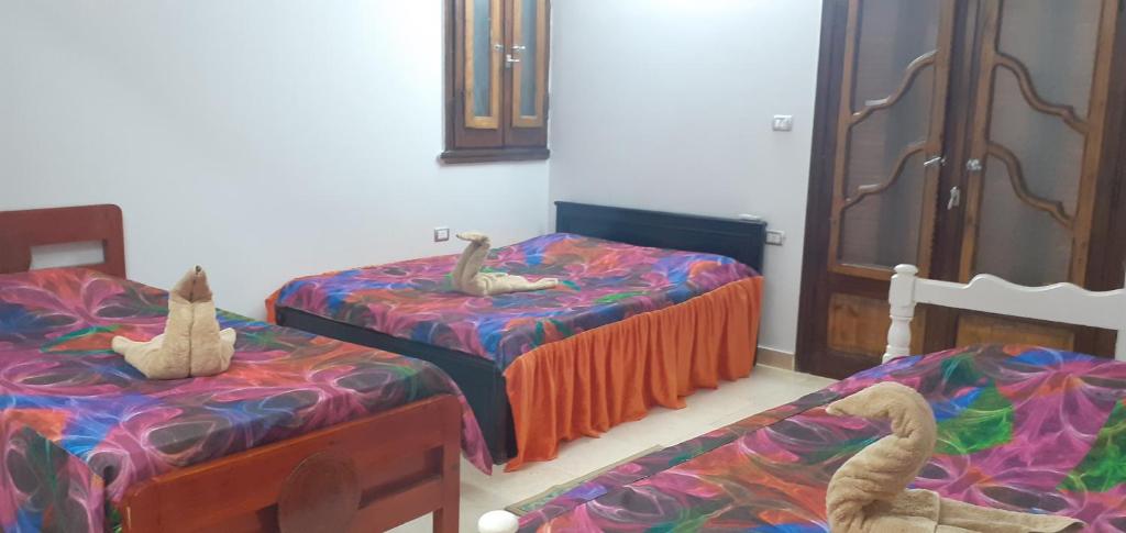 Семейный (Cемейный номер с собственной ванной комнатой) гостевого дома Villamar Red Sea View, Хургада