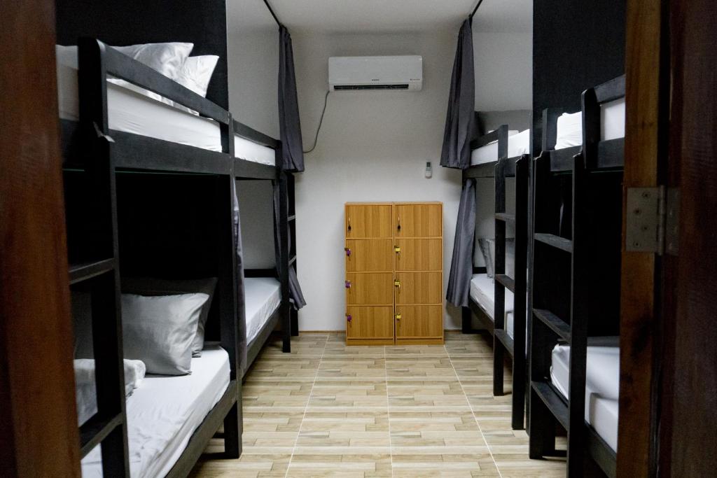 Номер (Кровать в общем 8-местном номере для мужчин и женщин) хостела Crazy Bears Hostel, Моалбоал