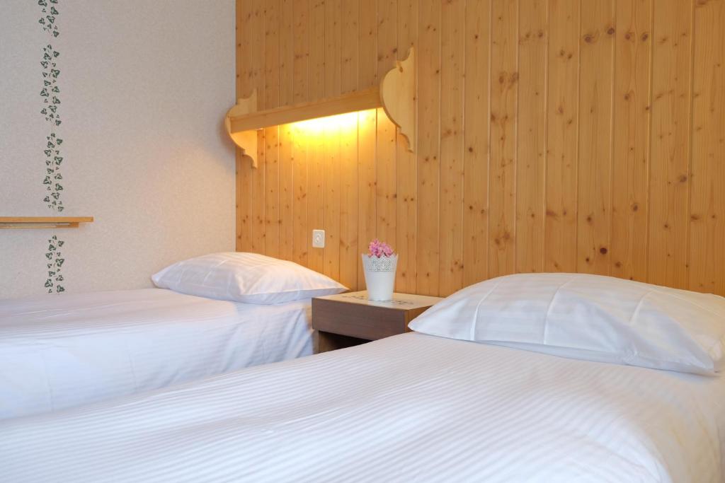 Двухместный (Небольшой двухместный номер с 2 отдельными кроватями) отеля Hotel Residence Brunner, Венген