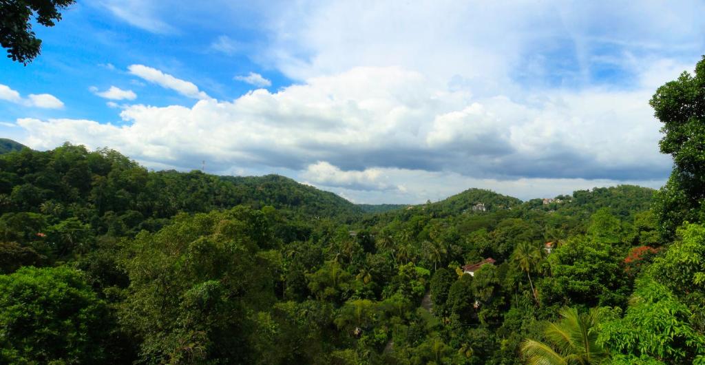 Номер (Улучшенное шале), Orchid Villa Kandy