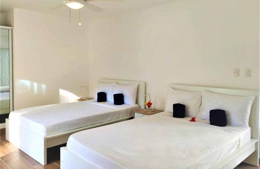 Двухместный (Двухместный номер с 2 отдельными кроватями и видом на бассейн) отеля Tropical Casa Laguna, Кабарете