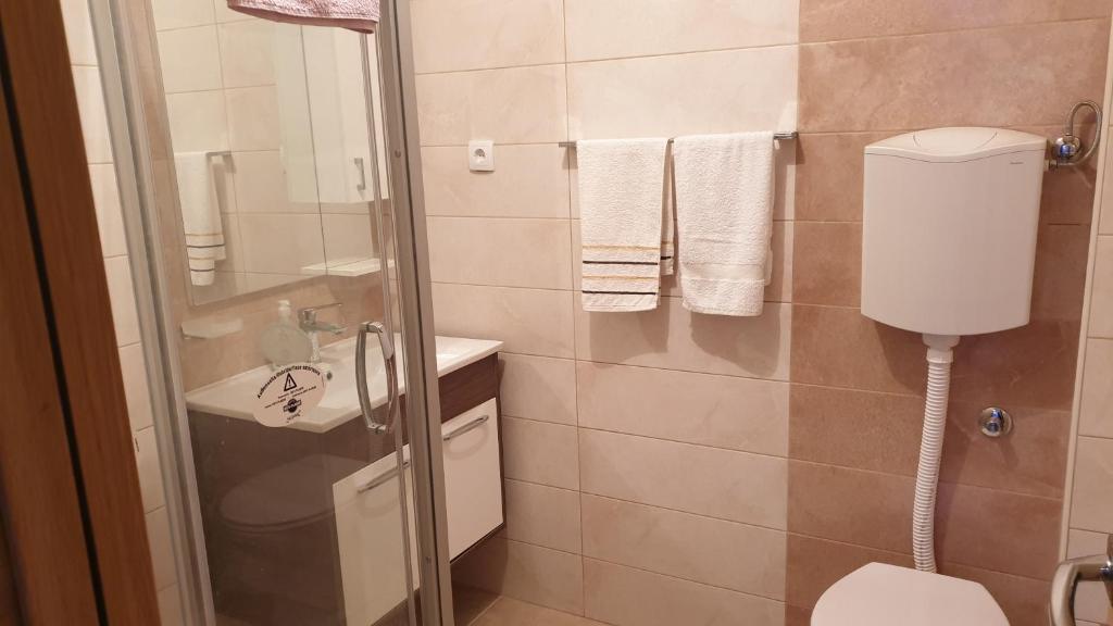 Трехместный (Трехместный номер с общей ванной комнатой) гостевого дома Guest House Boska, Панчево