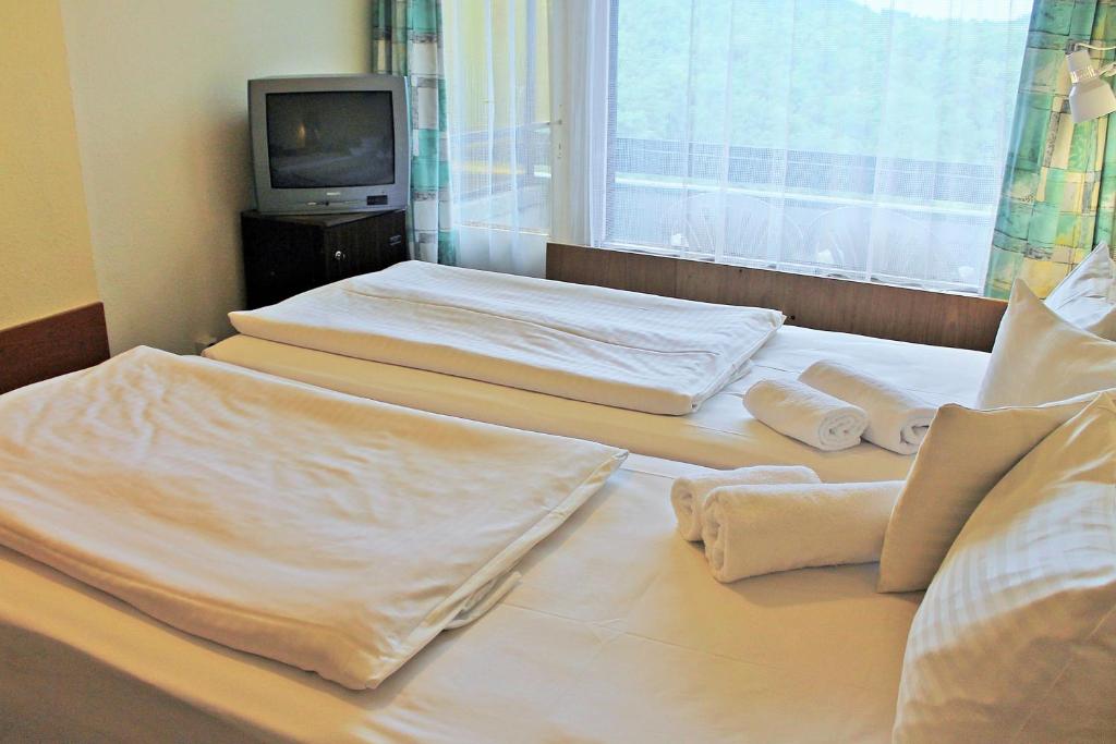 Двухместный (Бюджетный двухместный номер с 1 кроватью или 2 отдельными кроватями и балконом) отеля Hotel Szieszta, Шопрон