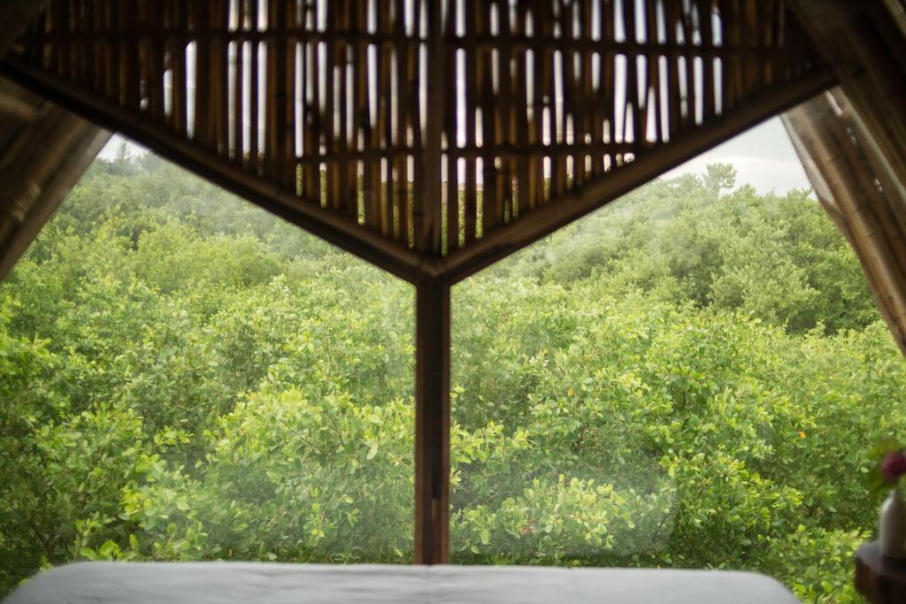 Сьюит (Улучшенный люкс), Mamasan Treehouses & Cabins