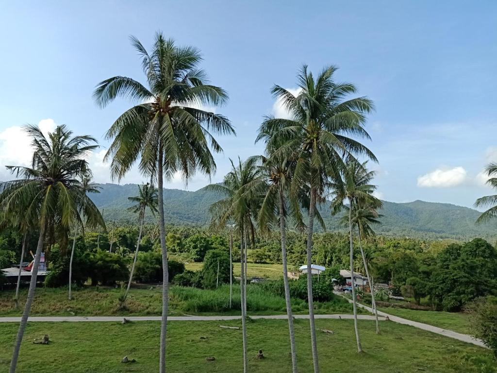 Сьюит (Полулюкс), Amarin Samui Hotel