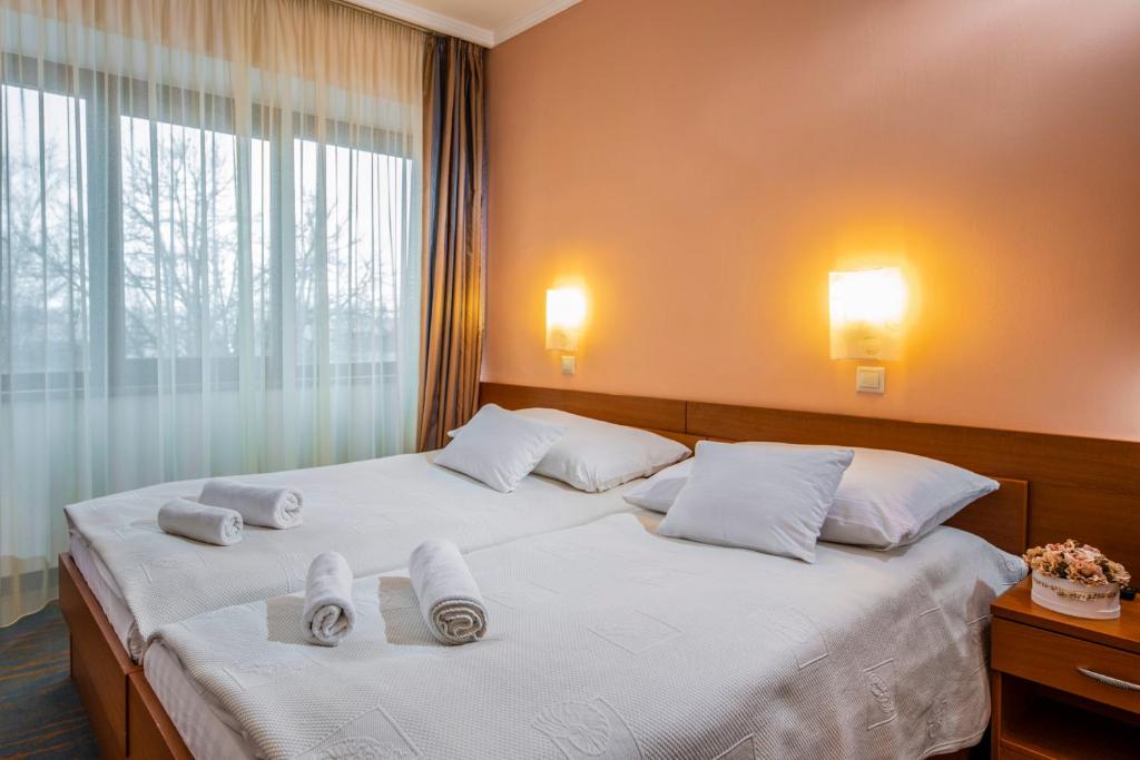 Двухместный (Стандартный двухместный номер с 1 кроватью или 2 отдельными кроватями и балконом) отеля Duna Hotel, Шиофок