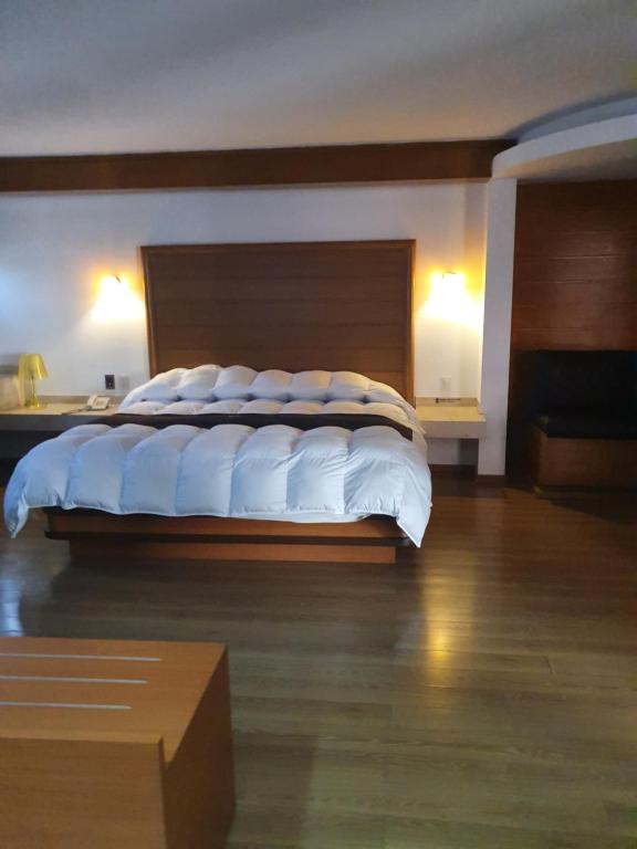 Сьюит (Номер-студио Делюкс с кроватью размера «king-size») отеля Hotel Contadero Suites y Villas, Мехико