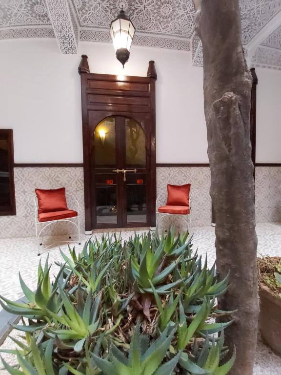 Riad Les Nuits de Marrakech