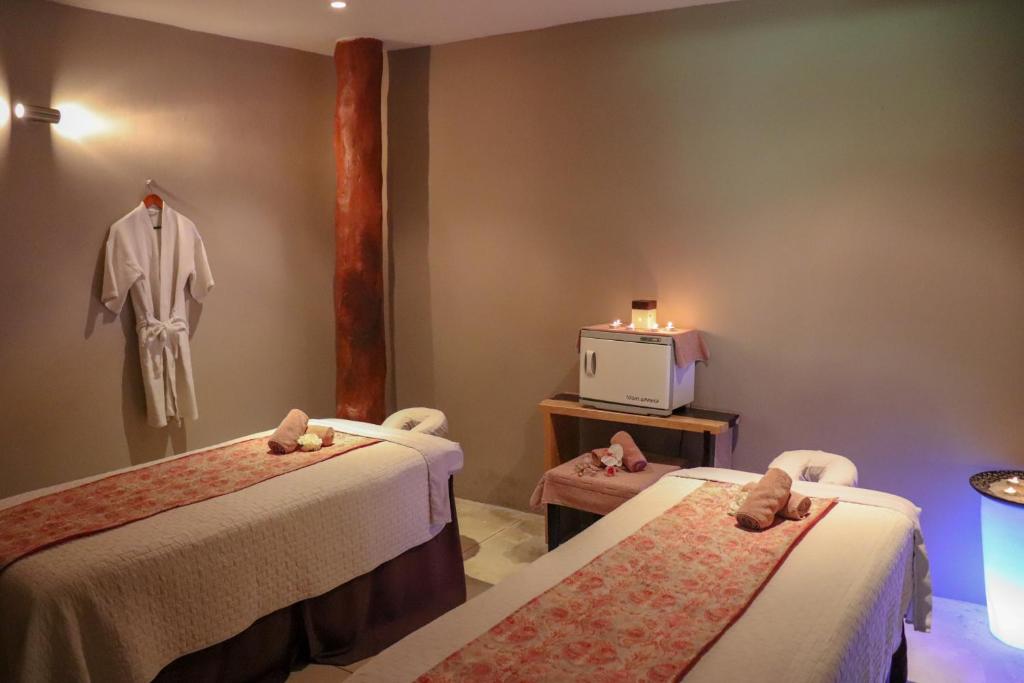 Privilege Aluxes - Adults Oriented