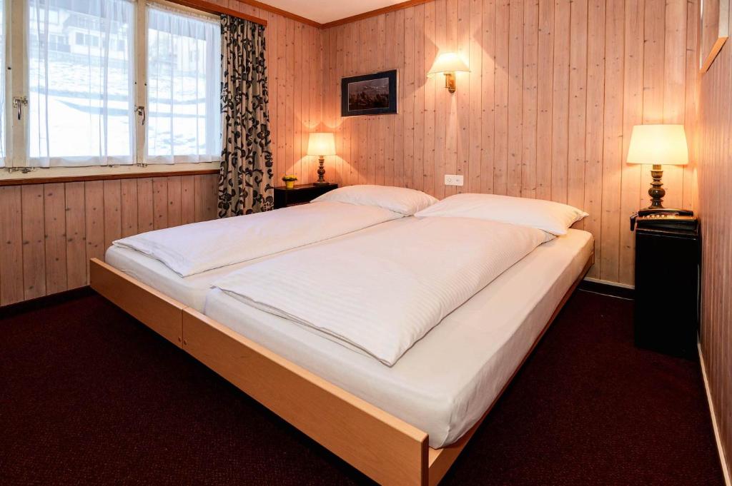Двухместный (Standard Double Room with Private Bathroom (no view)) отеля Jungfrau Lodge, Swiss Mountain Hotel, Гриндельвальд