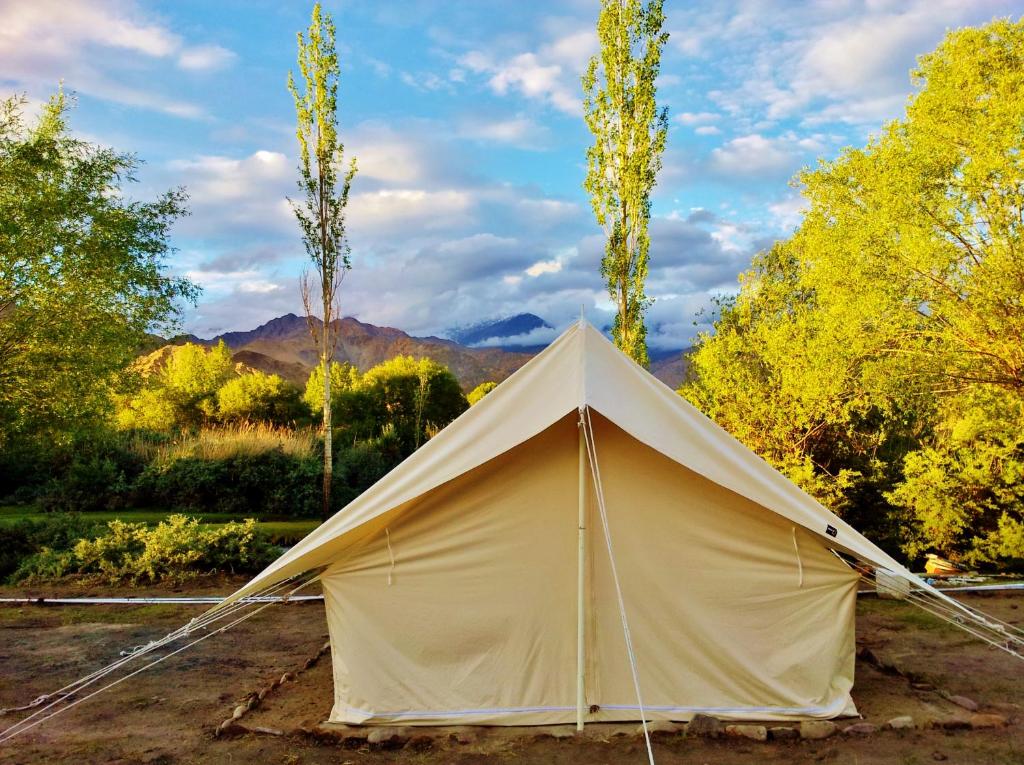 Номер (Шатер), Bikamp Camp Leh Ladakh