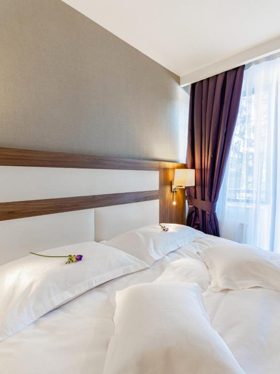 Двухместный (Стандартный двухместный номер с 1 кроватью) отеля Hotel Miruna - New Belvedere, Брашов