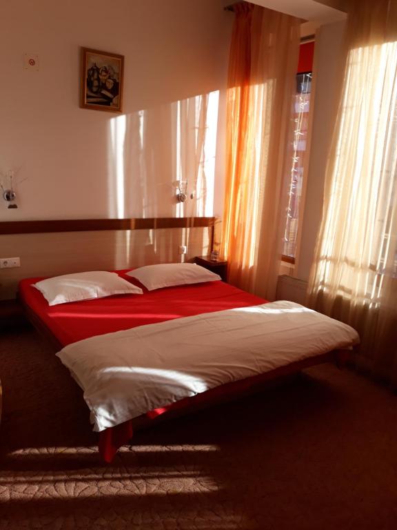 Двухместный (Двухместный номер с 1 кроватью) гостевого дома Vila Nicoleta, Бэйле-Оланешть