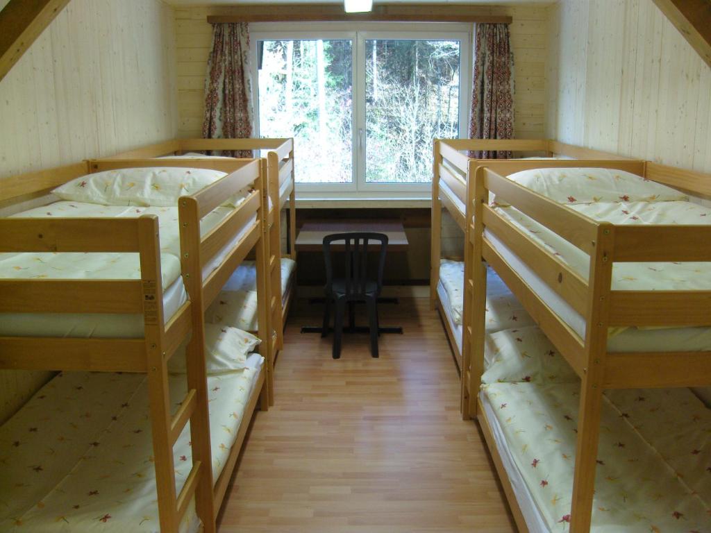 Номер (Односпальная кровать в общем номере для мужчин и женщин с 10 кроватями) хостела Vista Resort Hostel, Гштад