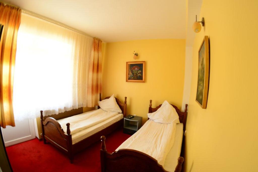 Двухместный (Двухместный номер с 1 кроватью или 2 отдельными кроватями) гостевого дома Villa Flormang, Крайова